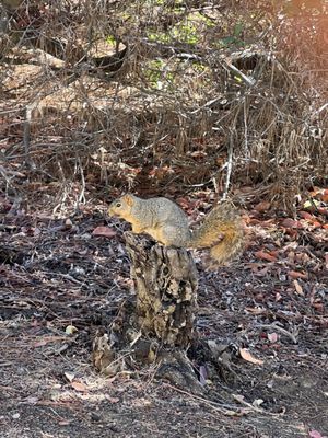 Hollywood Reservoir by null