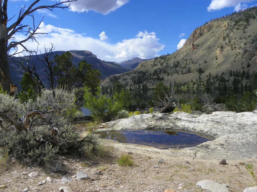 RING LAKE RANCH Updated September 2024 570 Trail Lake Rd, Dubois