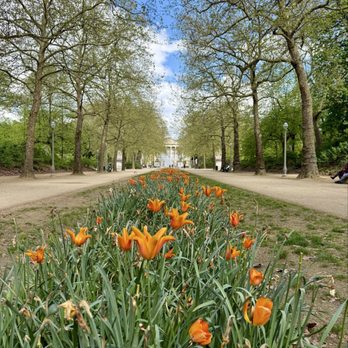 Parc de Bruxelles - Parks Near Me - Brussels, BRU