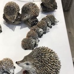 DEPOT - Igel Familie