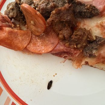 Romas Pizzeria - The nasty bug I took off of a slice of "meat lovers" pizza from romas ! - Pizza Near Me - Sacramento, California Romas Pizzeria - The nasty bug I took off of a slice of "meat lovers" pizza from romas ! - Pizza Near Me - Sacramento, California