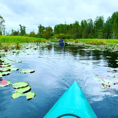 Okefenokee Swamp Park by null