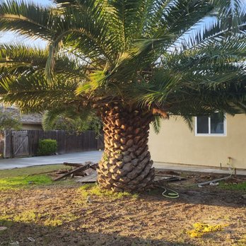 Dominion Brush Clearing - Lawn Services Near Me Dominion Brush Clearing - Lawn Services Near Me