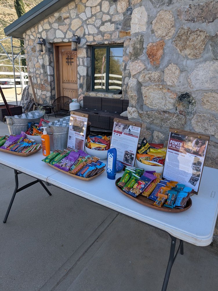 Wolf Connection - social services organization in Palmdale, CA