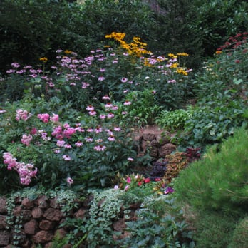 Hanson & Hanson Landscape Consultants - a garden of flowers - Landscaping Near Me - Chico, California Hanson & Hanson Landscape Consultants - a garden of flowers - Landscaping Near Me - Chico, California