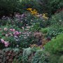 Photo of Hanson & Hanson Landscape Consultants