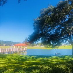 Orange Blossom Hills Golf & Country Club - Sunny and 75.