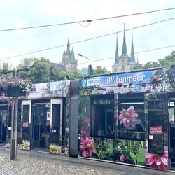 Café Hilgenfeld - Blick aus dem Café