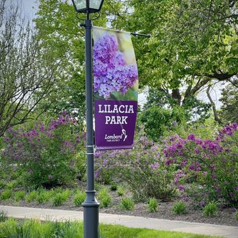 Lilacia Park - Street light with a Lilacia Park banner - Parks Near Me - Lombard, Illinois Lilacia Park - Street light with a Lilacia Park banner - Parks Near Me - Lombard, Illinois