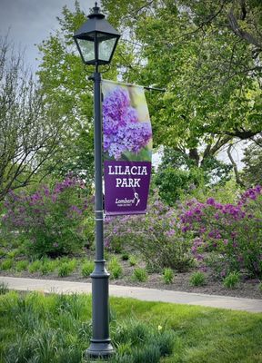 Lilacia Park by null