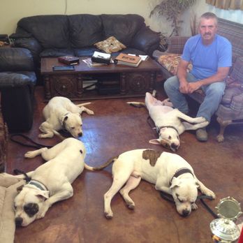 International K-9 - Well trained dogs - Pet Training Near Me - Weatherford, Texas International K-9 - Well trained dogs - Pet Training Near Me - Weatherford, Texas