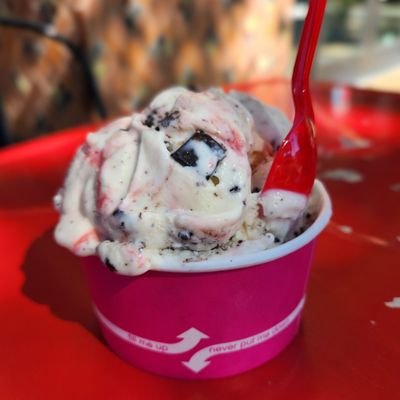 Willow Glen Creamery by null