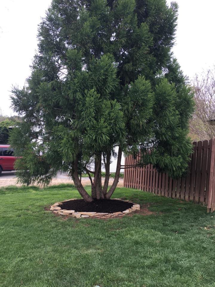 Slide of Budget Plumbing & Handyman Services