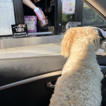 Super Burger - Pup cup - Burgers Near Me - Clovis, California Super Burger - Pup cup - Burgers Near Me - Clovis, California