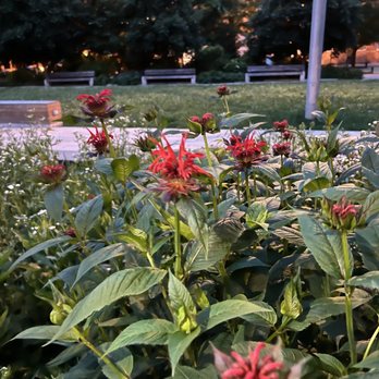 Canal Park DC - Pretty - Parks Near Me - Washington, DC, District of Columbia
