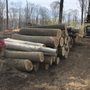 Photo of Delaware Valley Tree & Landscaping, Inc.