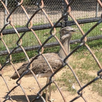 Montgomery Zoo - Checking me out - Zoos Near Me - Montgomery, Alabama
