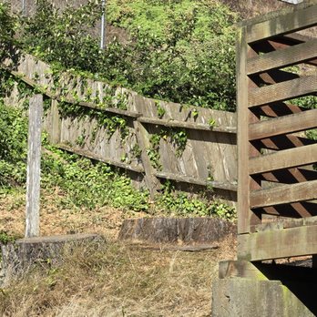 Cano Tree Service - Stumps - Tree Services Near Me - Redwood City, California Cano Tree Service - Stumps - Tree Services Near Me - Redwood City, California