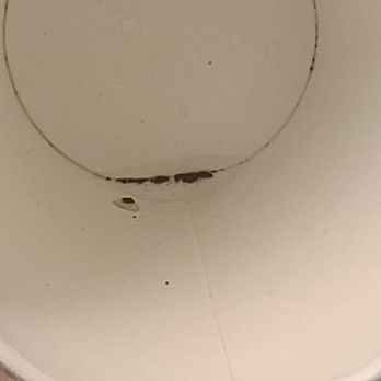 Arby's - Small black dirt(?) at bottom of our Sprite drink - Fast Food Near Me - Kenai, Alaska Arby's - Small black dirt(?) at bottom of our Sprite drink - Fast Food Near Me - Kenai, Alaska