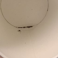 Arby's - Small black dirt(?) at bottom of our Sprite drink