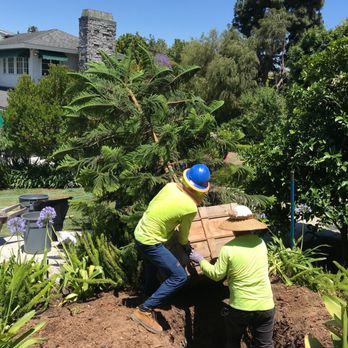 Moon Valley Nurseries - undefined - Tree Services Near Me - Irvine, California Moon Valley Nurseries - undefined - Tree Services Near Me - Irvine, California