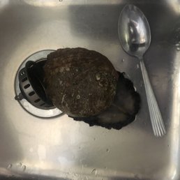 1 pound $29 abalone 1 pound $29 abalone