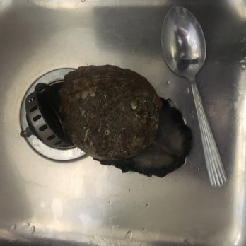 Monterey Abalone - 1 pound $29 abalone - Seafood Markets Near Me - Monterey, California Monterey Abalone - 1 pound $29 abalone - Seafood Markets Near Me - Monterey, California