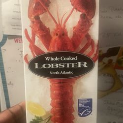 ALDI - This is the lobster I got from Aldi it was only 11$