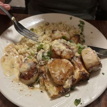 Tautog's Restaurant - Scallops Barca - Seafood Near Me - Virginia Beach, Virginia Tautog's Restaurant - Scallops Barca - Seafood Near Me - Virginia Beach, Virginia