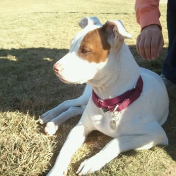 Tempe Sports Complex - Dog Parks Near Me - Tempe, Arizona Tempe Sports Complex - Dog Parks Near Me - Tempe, Arizona