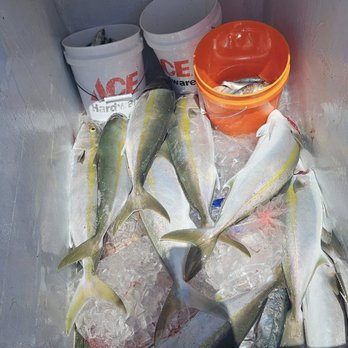 Mystic Rose Fishing Charters - They are in the Cooler. - Fishing Near Me - Jupiter, Florida Mystic Rose Fishing Charters - They are in the Cooler. - Fishing Near Me - Jupiter, Florida
