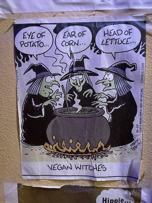 The Ale and the Witch by null