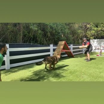 Mushy Cookie K9 - Pet Training Near Me Mushy Cookie K9 - Pet Training Near Me