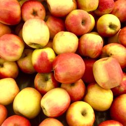 Temple City Farmers' Market