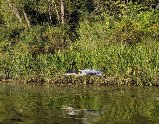 Kayak Pittsburgh North Park by null