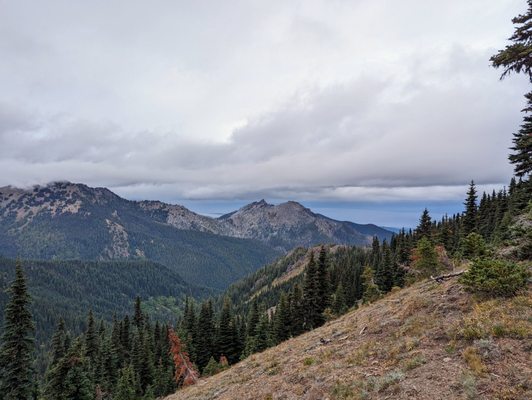 Hurricane Ridge by null