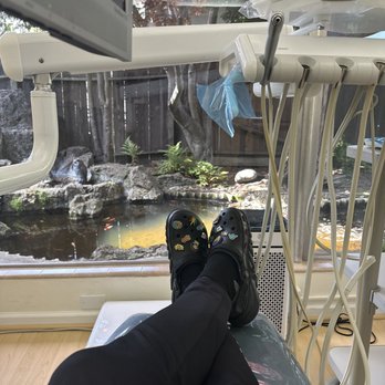 Parvez Taylor, DDS - The view I get while patiently waiting to get my crown molded - Cosmetic Dentists Near Me - San Leandro, California Parvez Taylor, DDS - The view I get while patiently waiting to get my crown molded - Cosmetic Dentists Near Me - San Leandro, California