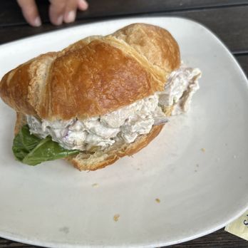 Crepe Creation Cafe - Chicken salad crossoiny - Creperies Near Me - Myrtle Beach, South Carolina