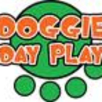 Doggie Day Play - Pet Sitting Near Me - Oak Park, Illinois