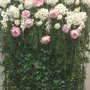 Photo of Pretty Petals