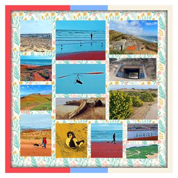 Fort Funston - Montage of images from Fort Funston - Parks Near Me - San Francisco, California Fort Funston - Montage of images from Fort Funston - Parks Near Me - San Francisco, California