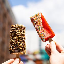 Morelia Gourmet Paletas - Coconut Grove - The best ice cream experience