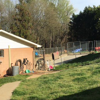 Dogwood Kennels NC - Pet Training Near Me - Catawba, North Carolina Dogwood Kennels NC - Pet Training Near Me - Catawba, North Carolina