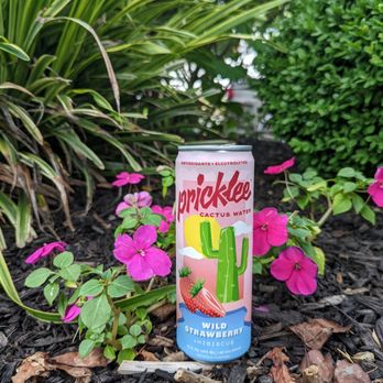 BOOMCHIA - Juice Bars & Smoothies Near Me - Montclair, New Jersey
