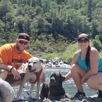 Consistent K9 Training  - Pet Training Near Me