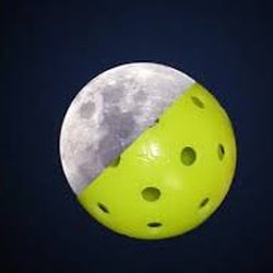 Pickleball is is fun, fun, fun.