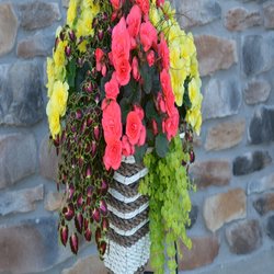 Knapp Hills Gardens