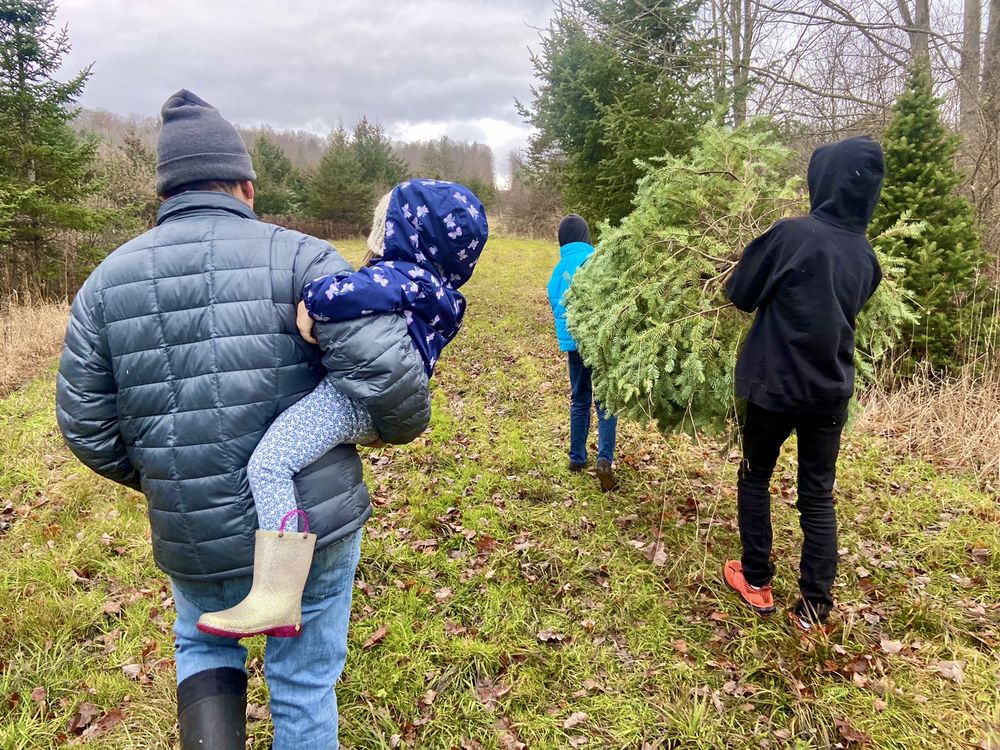 KODEY’S XMAS TREE FARM Updated October 2024 1805 Farm To Market Rd