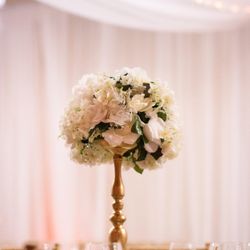 Elegant Events By Andrea - Our rentals included:  Chiavari chairs, centerpieces, wall draping, uplighting, table linens and dinnerware.