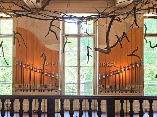 Schloss Freudenberg by null